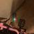 E bike not ever  used 6 thumbnail