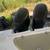 2006 Seafox 4 thumbnail