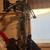 Pse coalition crossbow 1 thumbnail