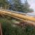 Westfield  80-51 Auger 4 thumbnail