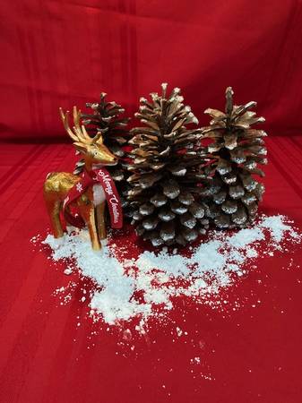 SNOW PINE CONES- 6 DOLLARS EACH 1