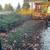 Landscaping 5 thumbnail