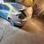 ☆☆☆AUTO BODY & BUMPER REPAIR☆☆☆ 20 thumbnail