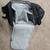 Targus Sling Camera Bag 4 thumbnail