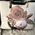 Assorted handbags. 5 thumbnail