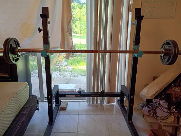 Treadmill, Bench Press/Squat rack + 7 ft Bar +40 lb weights 1