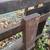 Skid steer step through forks 5 thumbnail