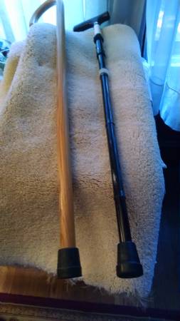 Two canes 1