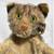 Steiff cat hand puppet 6 thumbnail