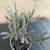 Blue chalk stick succulent in a pretty ceramic pot 2 thumbnail