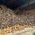 Clean seasoned hardwood mix firewood cords stacked delivered 1 thumbnail