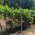 Work there, Cherish life here - Applegate, Oregon 14 thumbnail