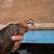 Chicks 1 thumbnail