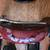 HARLEY FENDERS, FUEL TANKS, OIL TANK WITH BATTERY TRADE 5 thumbnail