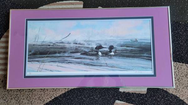 FRAMED! Skilak Sanctuary Jon Van Zyle 1