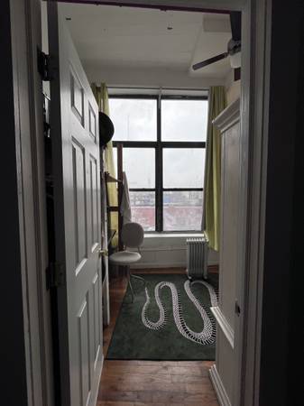 $1,225 / 1 hab - 1600 pies² - Amplio dormitorio soleado en loft de Brooklyn, disponible desde el 1 de noviembre con lavadora/secadora en unidad (East Williamsburg / Bushwick, Brooklyn / Morgan L)64033457041026123