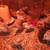 Quail Chicks, off heat 5 thumbnail