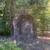 POISON OAK ABATEMENT 5 thumbnail