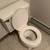 Universal Rundle elongated toilet 2 thumbnail