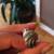 Sterling Silver Ring (Size 6) with marcasite Style  Excellent Conditio 1 thumbnail