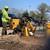 ZENON LANDSCAPING & TREE SERVICE 8 thumbnail