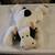 Large Beanie Baby dolls 9 thumbnail