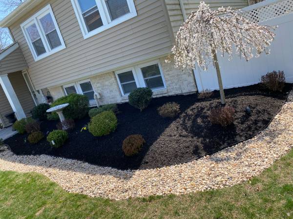 LANDSCAPING SERVICE**🍁🍂🍃🌾🌿 1