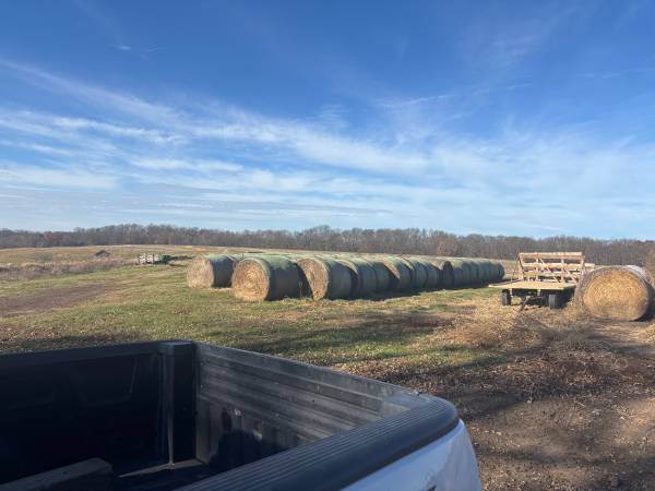 Round bales of Alfalfa and mixed bales 1