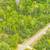 2.46 Acres – Builder/Developer Special 4 thumbnail