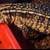 Argentine Black & White (Firebelly) x Red Hybrid Tegus 3 thumbnail