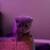 scottish fold kitten for sale 6 thumbnail