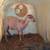 Katahdin sheep 5 thumbnail