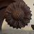 antique Lancaster County solid mahogany highboy, carved sunflowers, 3 thumbnail
