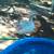 Birds Goslings Pullets 2 thumbnail