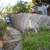 Skilled Carpenter Painter Remodeler Handy Man Fences Roof Repair Tile 4 thumbnail