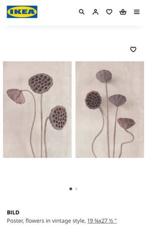 IKEA BILD TWO Different Posters Flowers in vintage style, 19 ¾x27 ½" wall Art, 1
