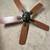 Free ceiling fan 1 thumbnail
