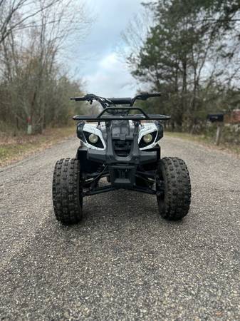 2017 TAOTAO 125CC 4 WHEELER 1