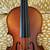 Bontempi Classic 1/2 Size Violin Excellent Condition 6 thumbnail