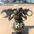Shift knob Hood ornament Steering wheel Differential cover 12 thumbnail