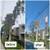 🔵 TEJEDA's Tree Specialist, Landscaping, more. Estimates. 🔵 6 thumbnail