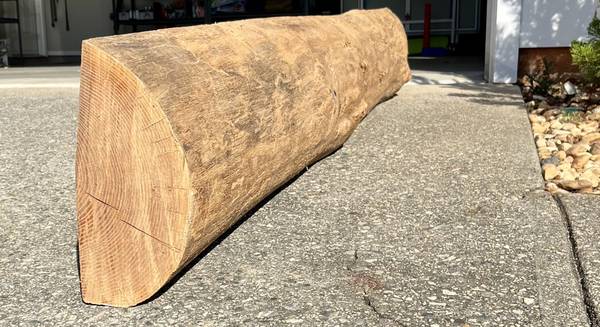 Rustic Raw Wood Slab with Live Edge 1