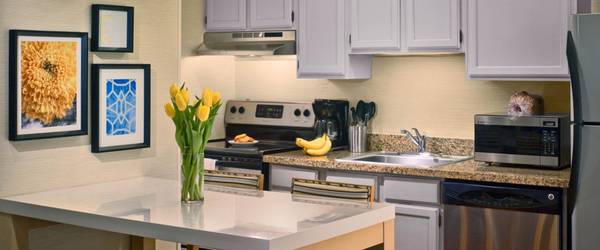 No Long-Term Lease Required, Free Utilities, Studio 1