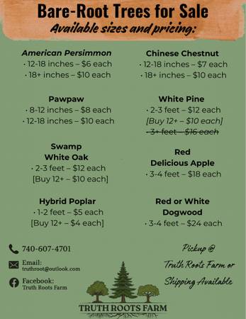 Bare-root Trees (Persimmon, Chestnut, Hybrid Poplar, Pawpaw, Swamp White Oak, &  1