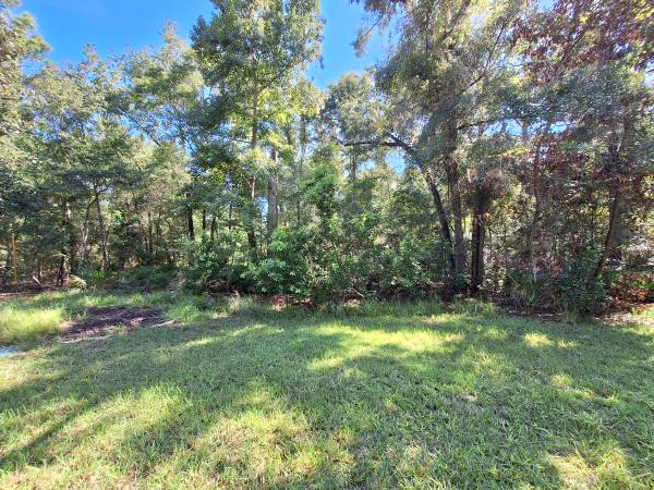 $85,000 5 ACRES FOR SALE IN SPANISH TRACE (Chiefland, FL)63823032340993122