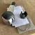 2015-2022 Ford Mustang Parts S550 15 thumbnail