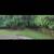 ★★ !!Totally YARD CLEAN UP★Cleanup★Hedge/Trim★New sod grass 11 thumbnail