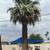 T M RODRIGUEZ LANDSCAPING SERVICE  🌴PALM&🌳TREE TRIMMING🌴🌳 7 thumbnail