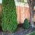 Fencing Fence Fences 8 thumbnail