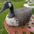 Antique Canada Goose Decoy vintage 1 thumbnail